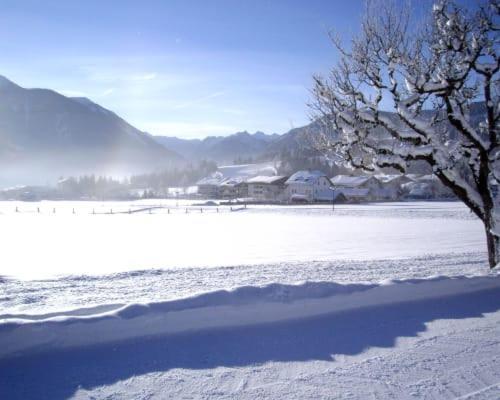 Aignerhof Daire Flachau Dış mekan fotoğraf